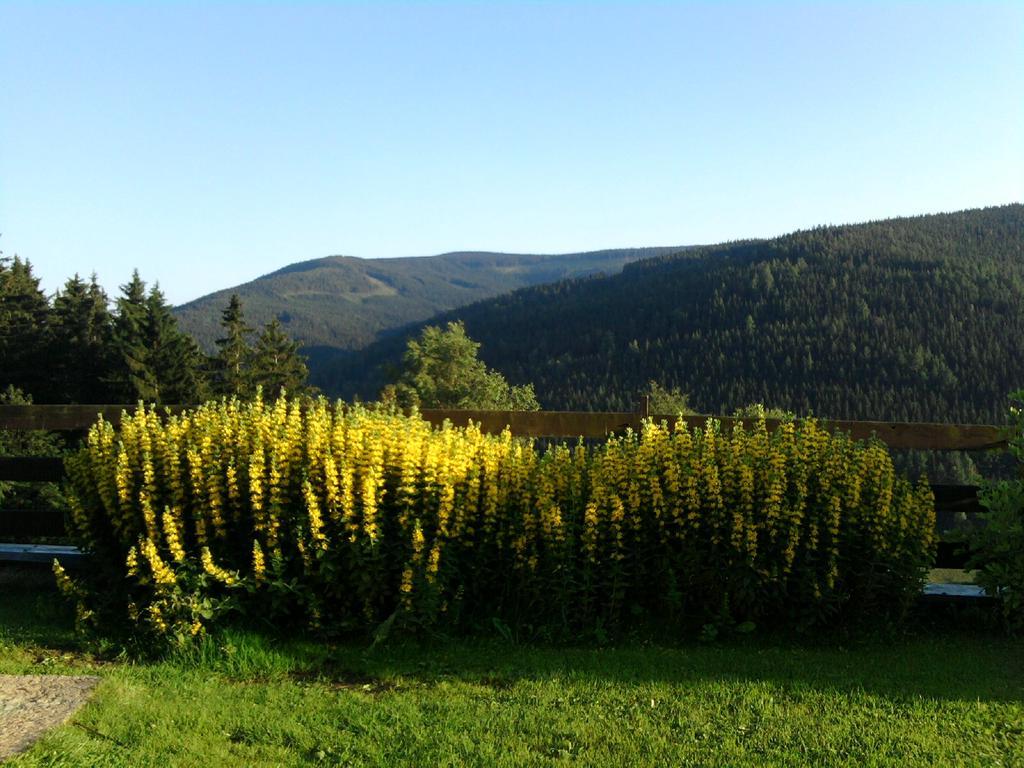 Penzion Kobr Pec pod Snezkou Bagian luar foto